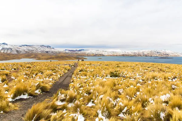 Silniční cusco-puno, jezero titicaca, peru, Jižní Amerika. posvátné údolí Inků. velkolepé povaha zasněžených hor a modrá obloha — Stock fotografie