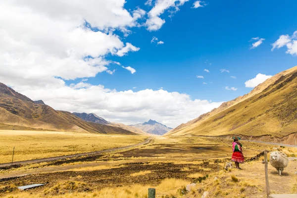 Mujer peruana en ropa nacional pastoreando llama Camino Cusco-Puno, Perú, América del Sur. Valle Sagrado de los Incas. Espectacular naturaleza de montañas y cielo azul — Foto de Stock