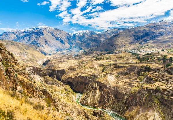 Colca canyon, peru, südamerika die Inkas, um landwirtschaftliche Terrassen mit Teich und Felsen zu bauen. eine der tiefsten Schluchten der Welt — Stockfoto