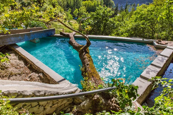 Großer Baum im Schwimmbad in kleinem kretischen Dorf auf Betoninsel, Griechenland — Stockfoto