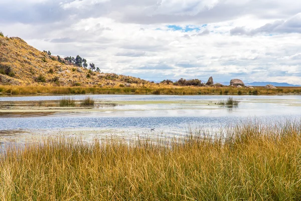 Titicaca Gölü, Güney Amerika — Stok fotoğraf