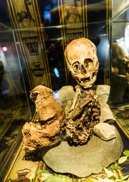 Embalmed mummy and skull in Peru. — Stock Photo, Image