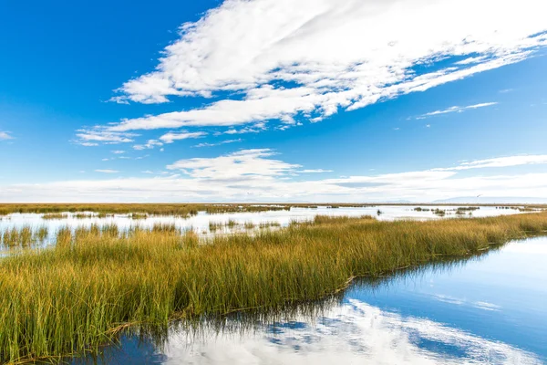 Titicaca-tó, Dél-Amerika — Stock Fotó