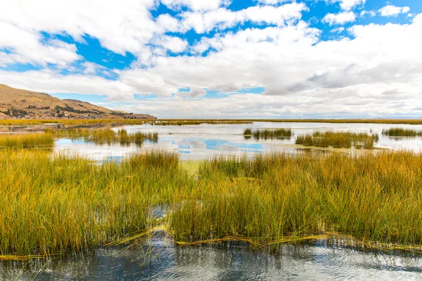 Titicacasjön, Sydamerika — Stockfoto