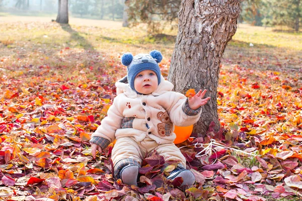 Kind jongen speelt met bladeren — Stockfoto