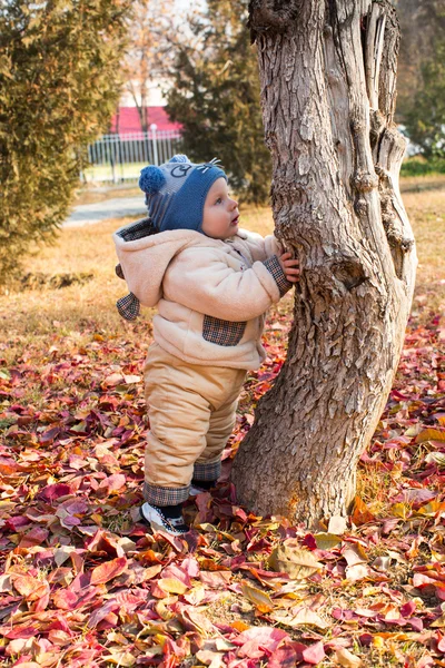 Çocuk çocuk yaprakları ile oynuyor — Stok fotoğraf