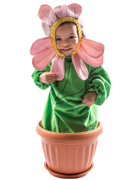 Baby boy dressed in flower costume — Stock Photo, Image