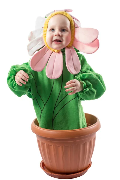 Adorable baby boy dressed in flower costume Stock Photo