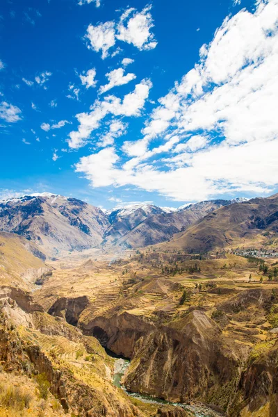 Colca Canyon, Peru — Stock fotografie
