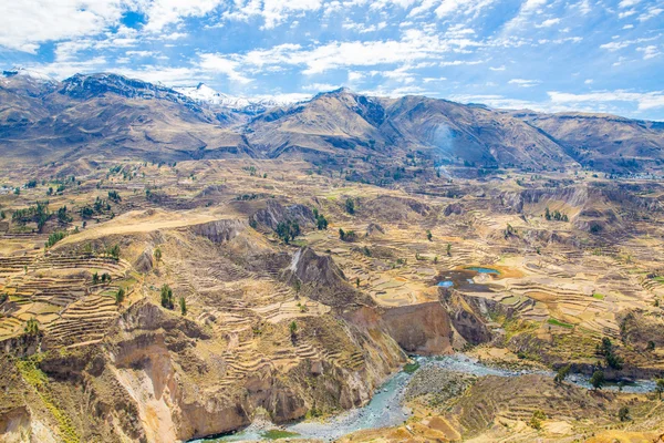 Cañón del Colca, Perú — Foto de Stock