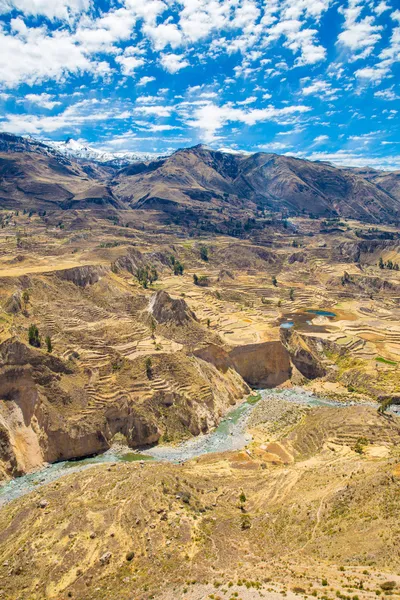 Colca canyon, Περού — Φωτογραφία Αρχείου