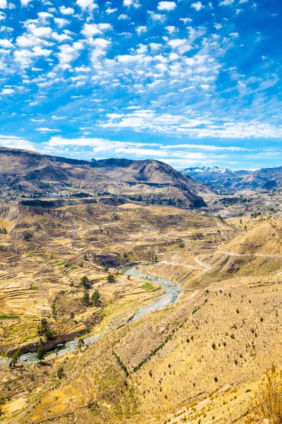 Kanion Colca w peru — Zdjęcie stockowe