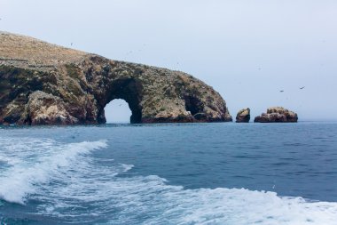 paracas Ulusal rezervasyon