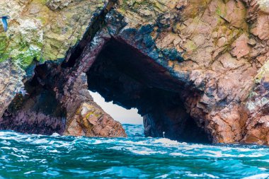 paracas Ulusal rezervasyon