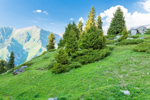 Big Almaty Lake — Stock Photo, Image