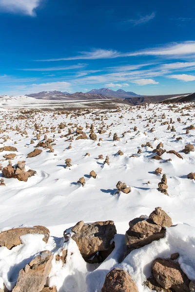 De andes — Stockfoto