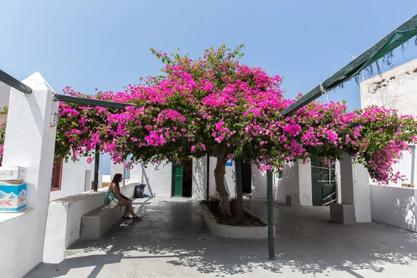 Ciudad de Fira — Foto de Stock