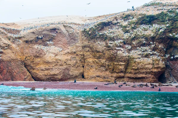 Kusten vid paracas nationella bokning — Stockfoto