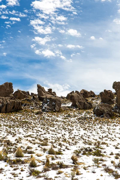 The Andes — Stock Photo, Image