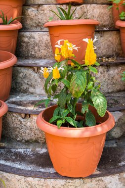 messara Vadisi, Girit