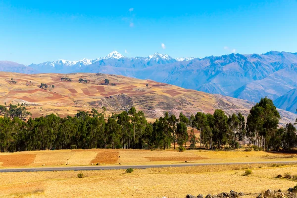 Inca ruins of Sacred Valley — Stock Photo, Image