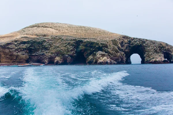 Paracas Ulusal rezervasyon — Stok fotoğraf