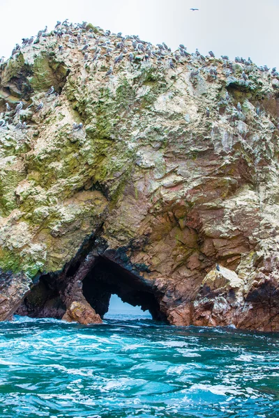 Kusten vid paracas nationella bokning — Stockfoto