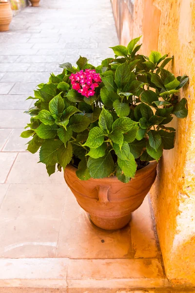 Vale de Messara em Creta — Fotografia de Stock