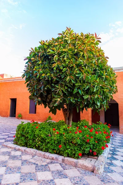 Monasterio de santa Catalina — Foto de Stock