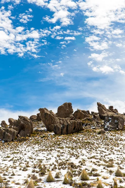 The Andes — Stock Photo, Image