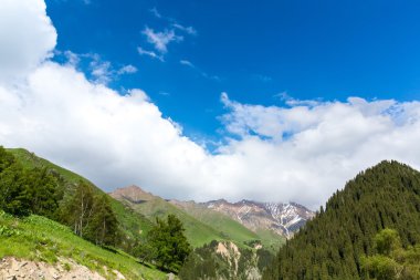 Büyük Almatı Gölü yakınlarında doğa