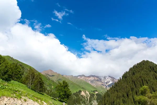 Natura vicino al Big Almaty Lake — Foto Stock