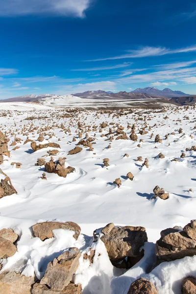 The Andes — Stock Photo, Image