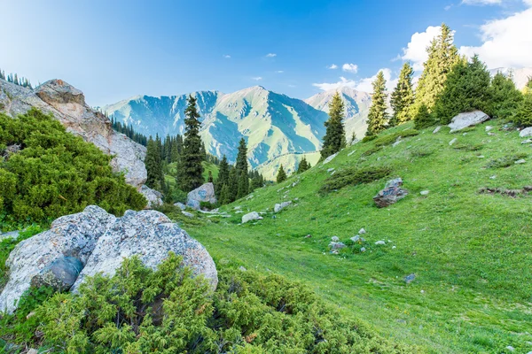 Природа біля озера великий Алмати — стокове фото