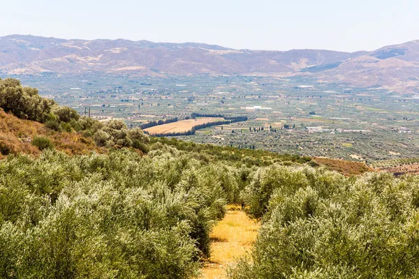 Kreta i Grekland — Stockfoto