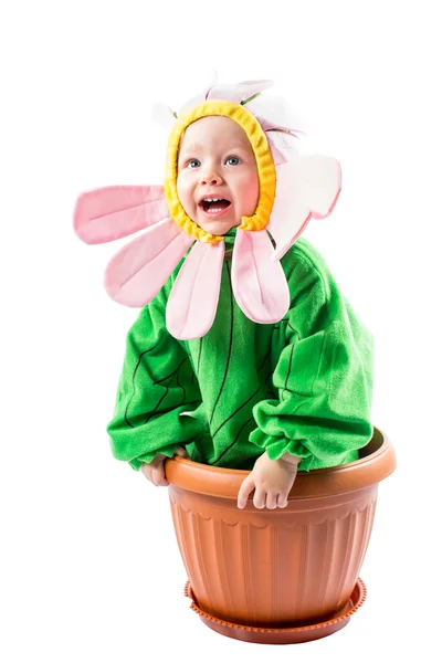 Entzückendes Baby-Mädchen im Blumenkostüm auf weißem Hintergrund — Stockfoto