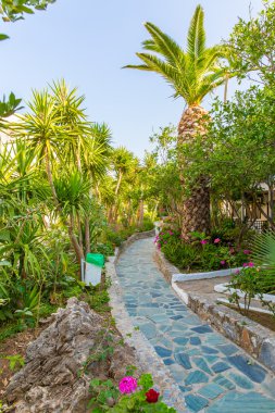 bitkilerde kavros Köyü