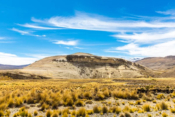 The Andes — Stock Photo, Image