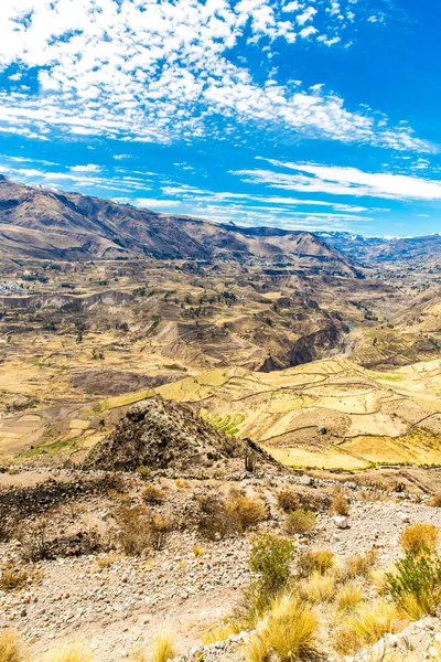 Canyon di Colca in Perù — Foto Stock