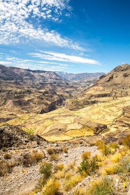 Colca Canyon, Peru,South America   Incas to build Farming terraces with Pond and Cliff  One of deepest canyons in world clipart