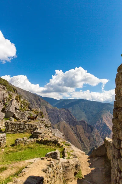 เมืองลึกลับ - Machu Picchu, เปรู, อเมริกาใต้ — ภาพถ่ายสต็อก