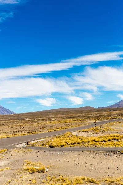 V Andách, silniční cusco-puno — Stock fotografie