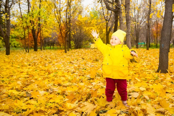 Feliz niña adorable con hojas en el parque de otoño. Fall.The concepto de infancia, familia y niño —  Fotos de Stock