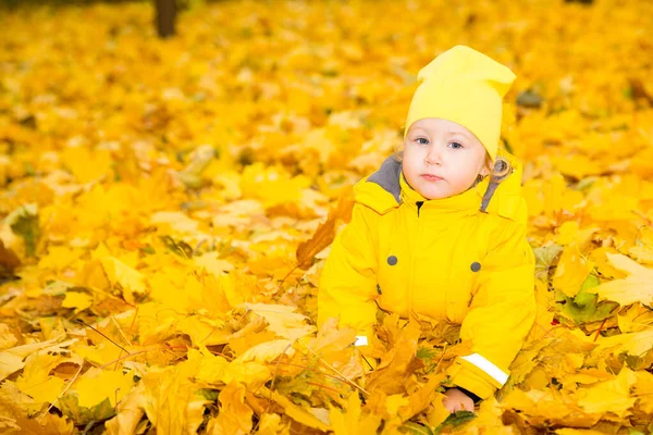 Joyeux adorable enfant fille avec des feuilles dans le parc d'automne. Le concept d'enfance, de famille et d'enfant — Photo