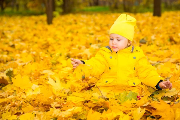 Sonbahar parkında yaprakları olan mutlu sevimli kız çocuğu. Düşüş. Çocukluk, aile ve çocuk kavramı. — Stok fotoğraf