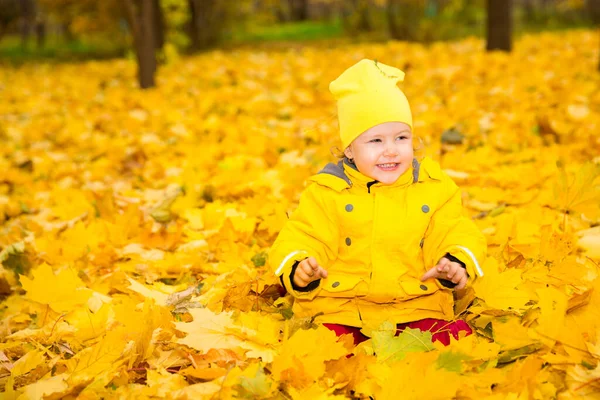 Feliz niña adorable con hojas en el parque de otoño. Fall.The concepto de infancia, familia y niño —  Fotos de Stock