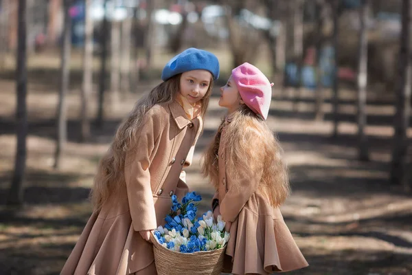 Two girls sisters kids walks through the forest in spring and collects the first spring flowers in basket . — Stok fotoğraf