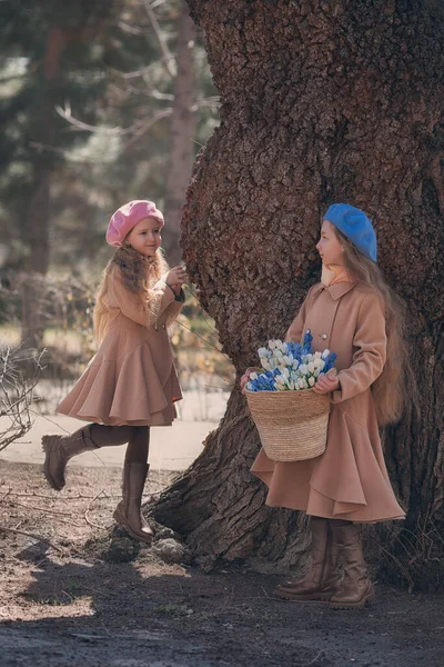 Two girls sisters kids walks through the forest in spring and collects the first spring flowers in basket . — ストック写真