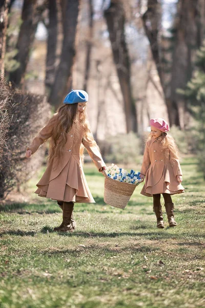 Two girls sisters kids walks through the forest in spring and collects the first spring flowers in basket . — Stock Photo, Image
