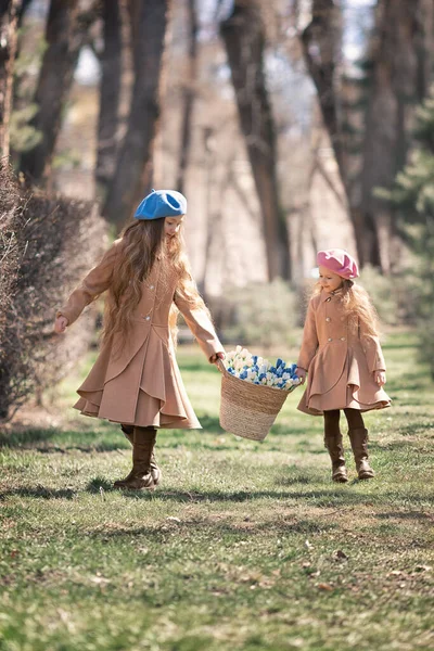 Twee meisjes zussen kinderen loopt door het bos in het voorjaar en verzamelt de eerste lente bloemen in mand . — Stockfoto